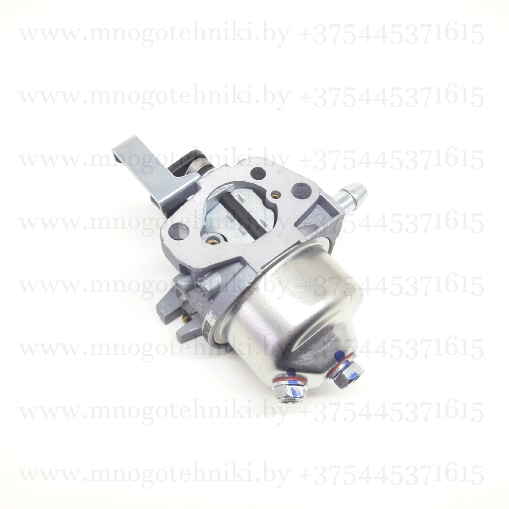 Карбюратор для газонокосилки ECO LG-735 (DV196)