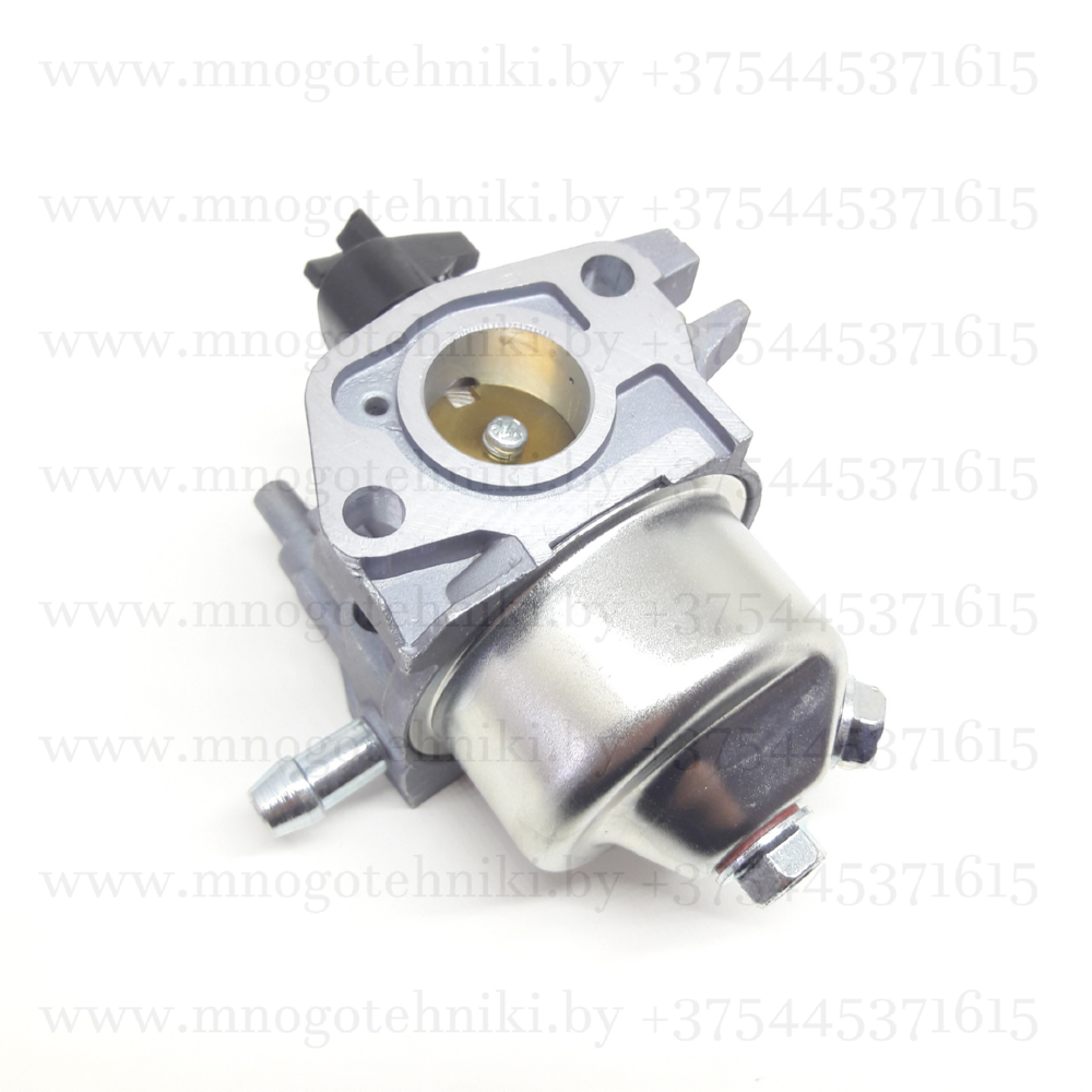 Карбюратор для газонокосилки ECO LG-735 (DV196)