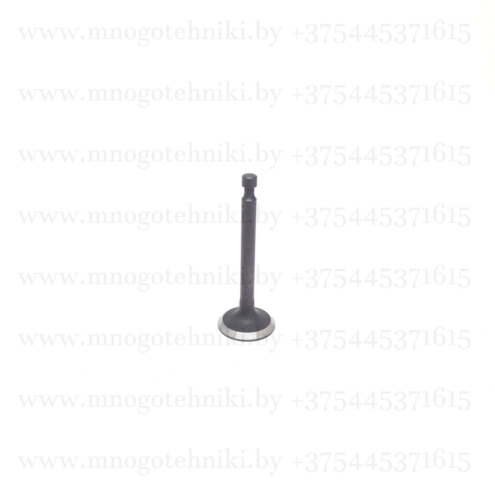 Клапан впускной для газонокосилки ECO LG-633 (DVO160)