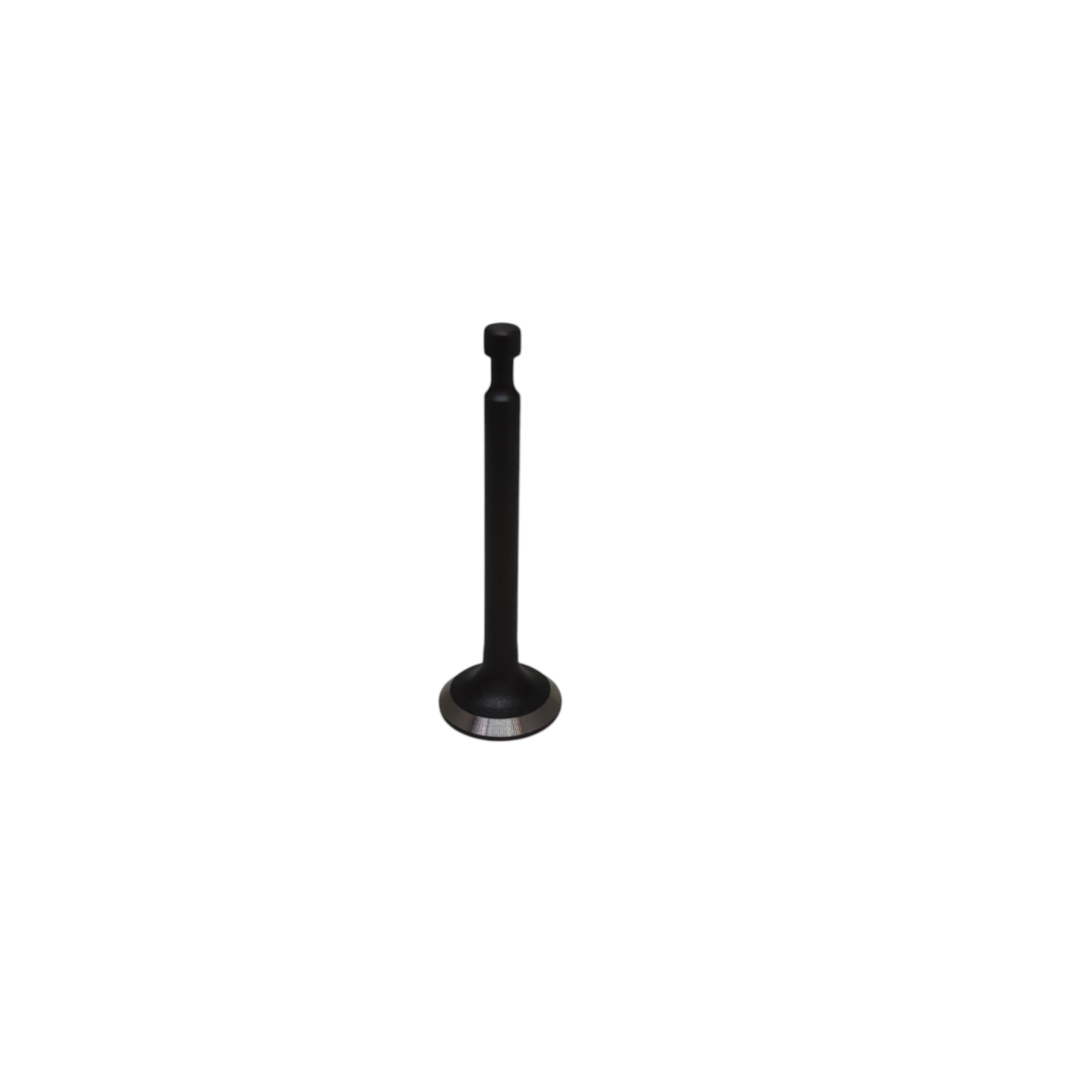 Клапан выпускной для газонокосилки ECO LG-633 (DVO160)
